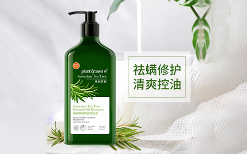 澳洲茶树精油洗发水