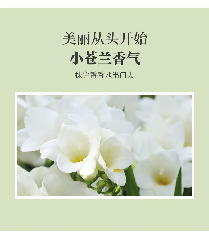 牛油果护发乳_08.jpg 图片