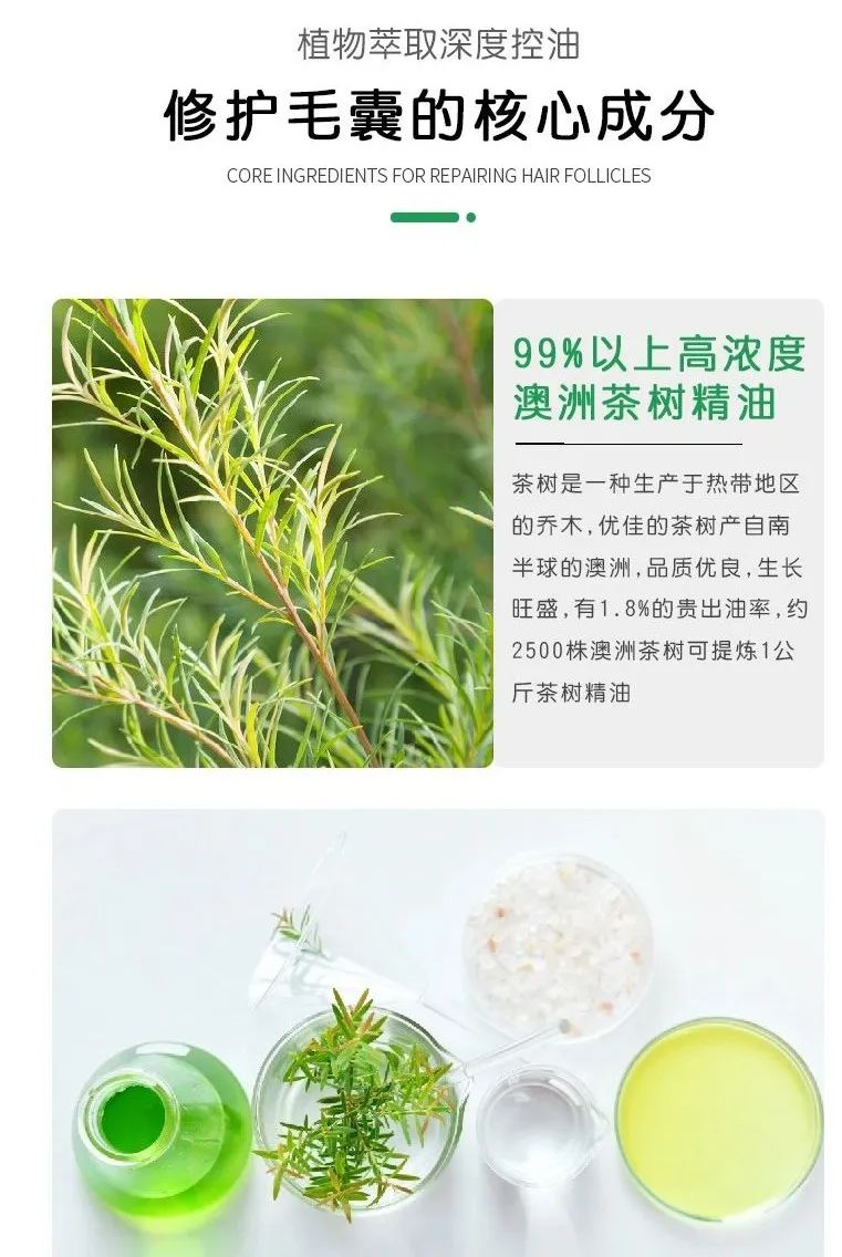 澳洲茶树精油洗发水_07.jpg 图片