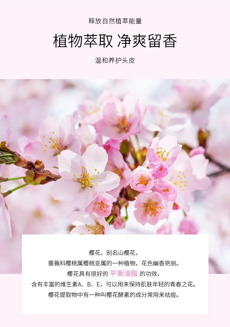 樱花洗发水_05.jpg 图片