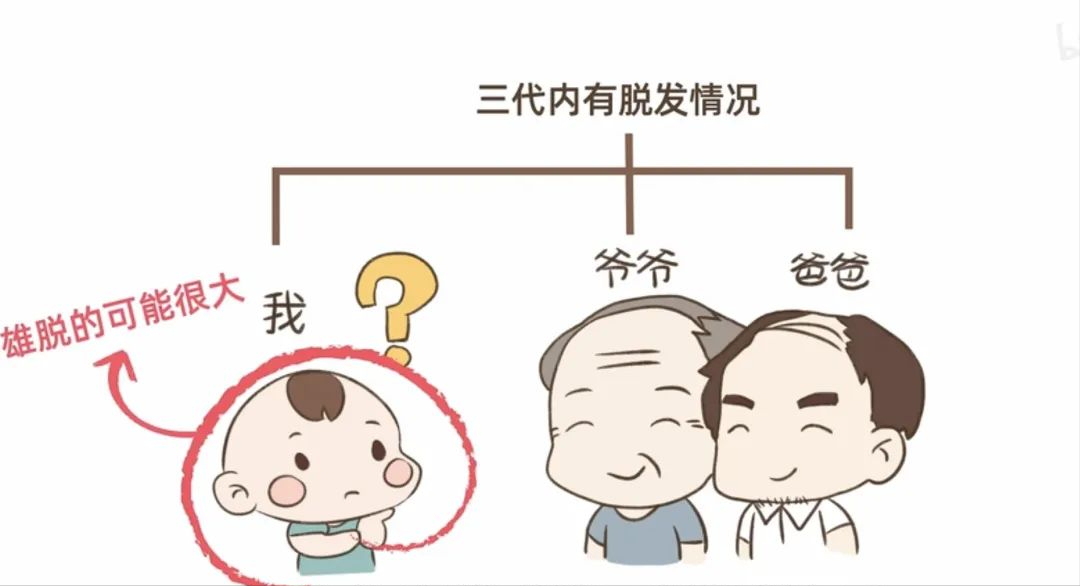 科普 | 如何判断脂溢性脱发？